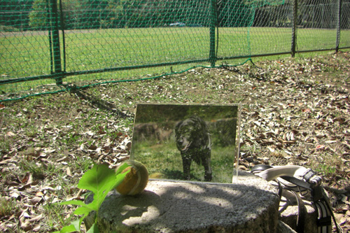 e0044635_12281825.jpg