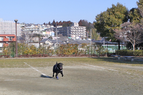 e0044635_1246165.jpg