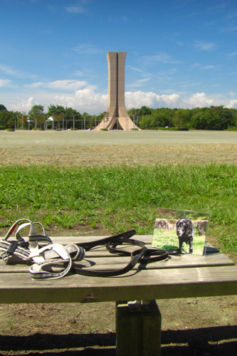 e0044635_1248049.jpg
