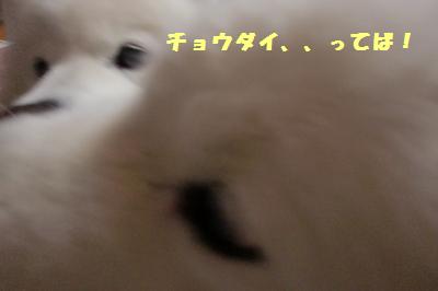 e0196135_19495210.jpg