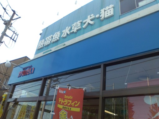e0150140_2294575.jpg