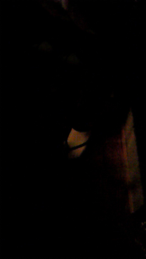 a0096546_2005682.jpg
