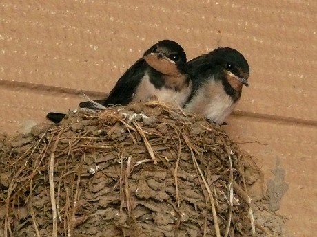 c0057946_1265115.jpg