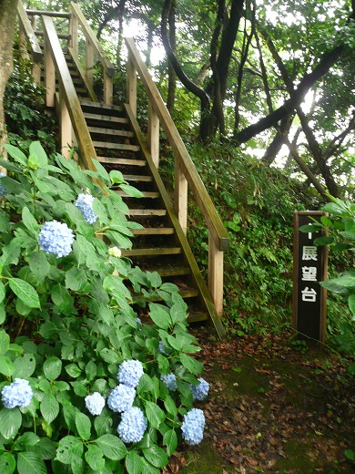 c0057946_1293181.jpg