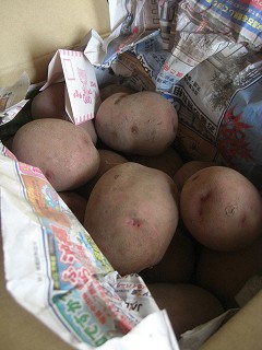 f0009451_1513313.jpg