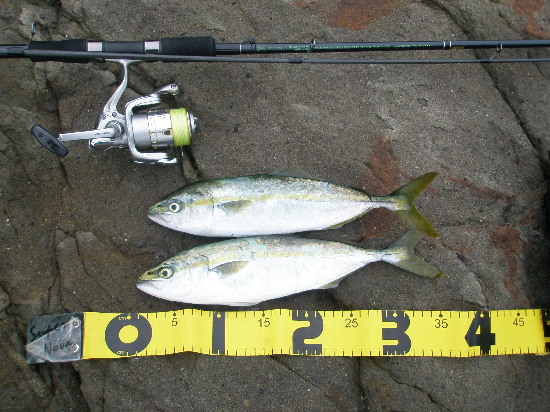 f0150151_20255527.jpg