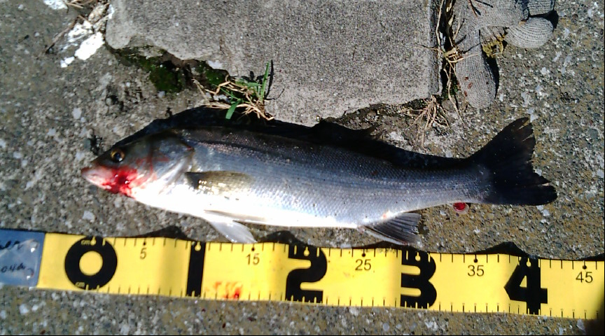 f0150151_20472010.jpg