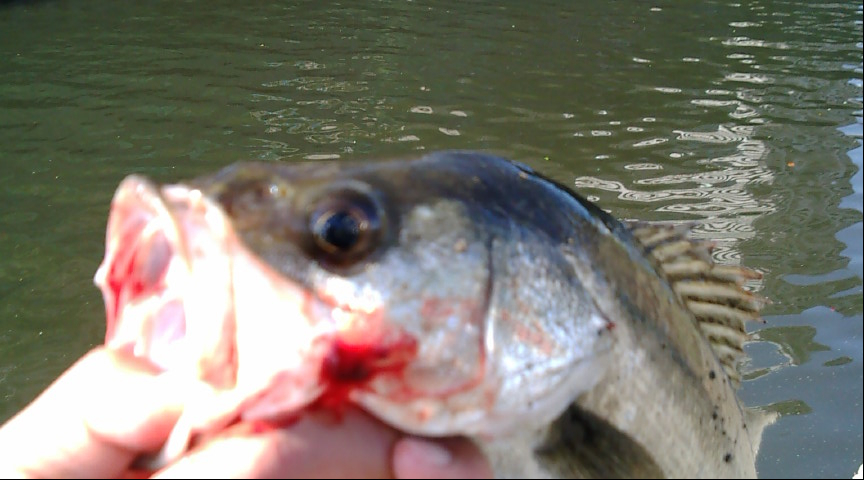 f0150151_20473016.jpg