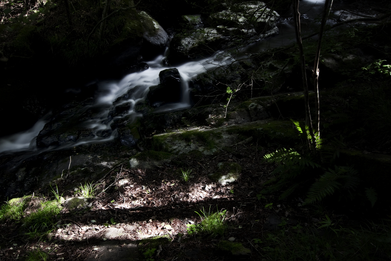 d0141053_21342328.jpg