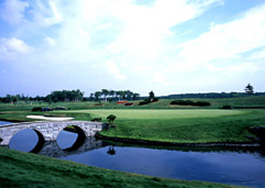 e0110253_215875.jpg