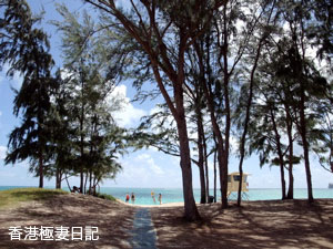 f0190653_21173276.jpg