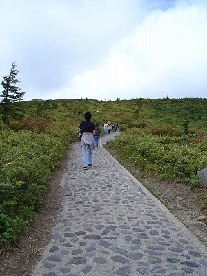 b0037654_23111260.jpg