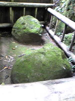 f0065954_2159485.jpg