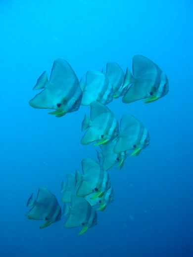 b0062363_22232266.jpg