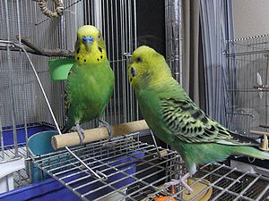 f0196665_0445489.jpg