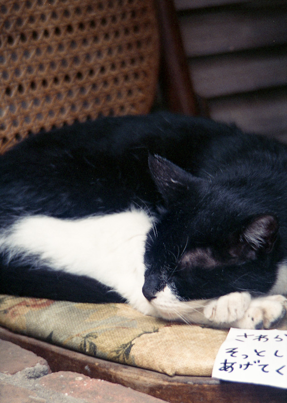 c0084666_10171480.jpg