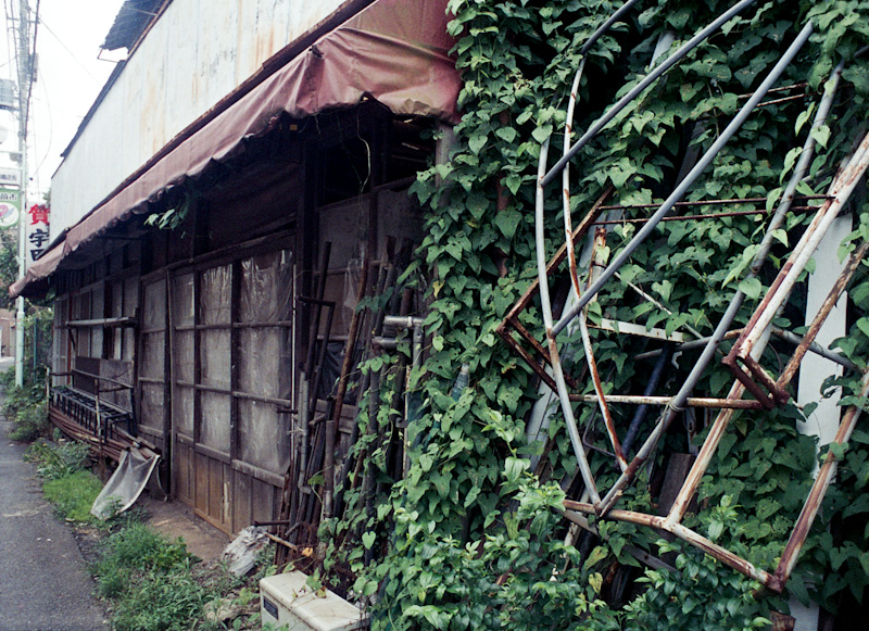 c0084666_13503375.jpg