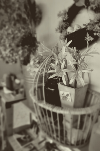 c0187782_21594880.jpg