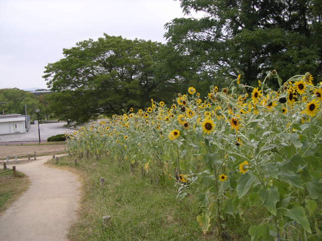 d0142182_12524047.jpg