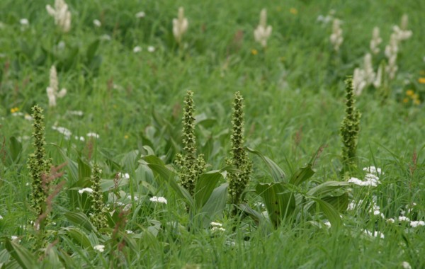 c0144185_1135367.jpg