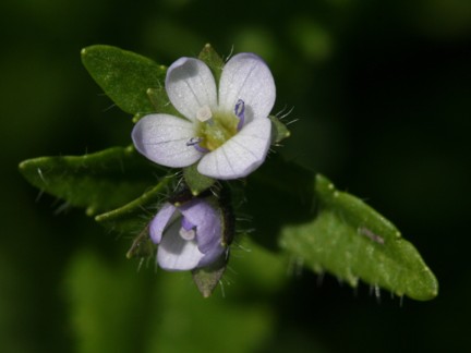 c0144185_11404293.jpg