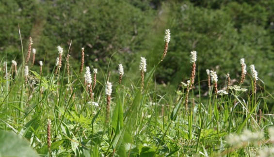 c0144185_13323689.jpg
