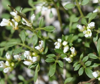c0144185_13382359.jpg