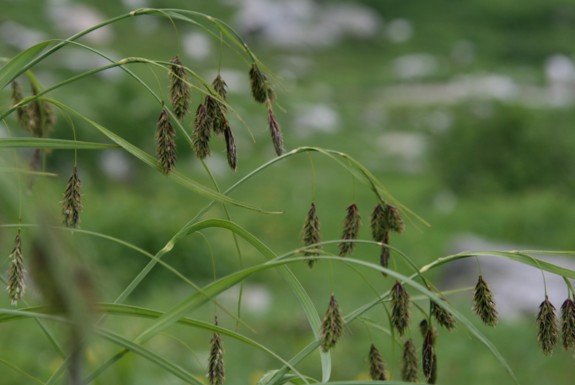 c0144185_1341437.jpg
