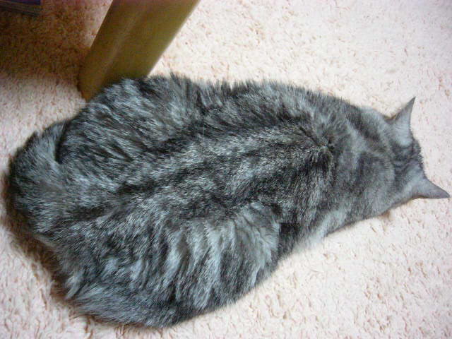 e0185485_1925436.jpg