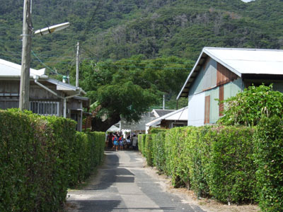 e0028387_23111471.jpg