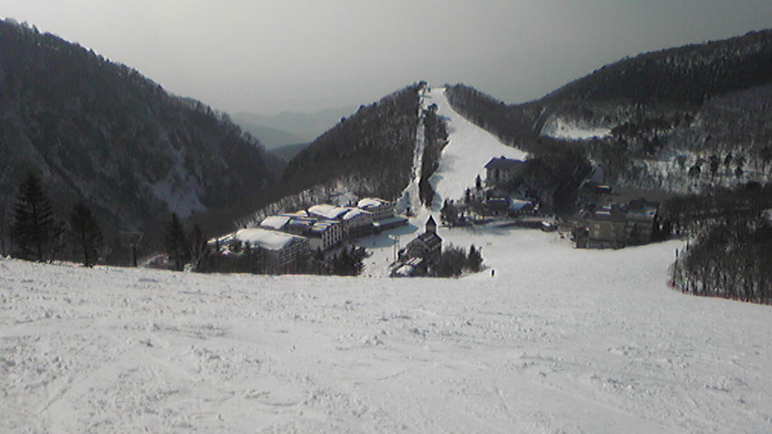 b0017892_2174499.jpg