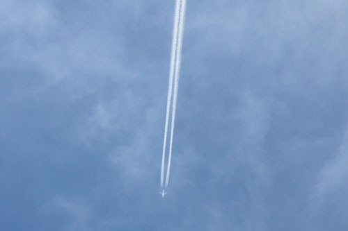 b0142393_752623.jpg