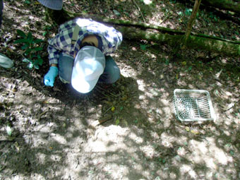 e0083097_20473063.jpg