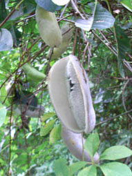 e0083097_21362181.jpg