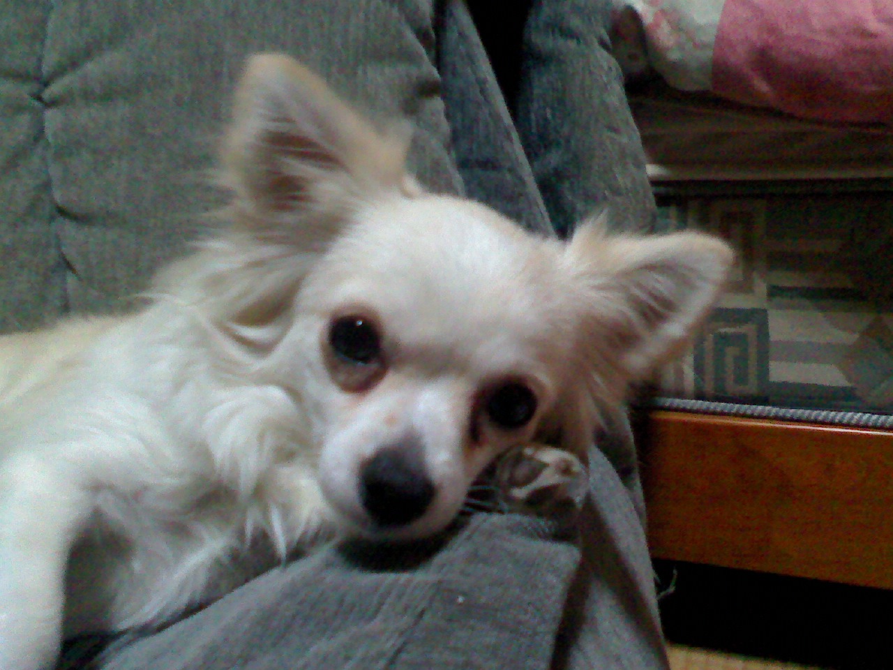 a0133999_05231.jpg