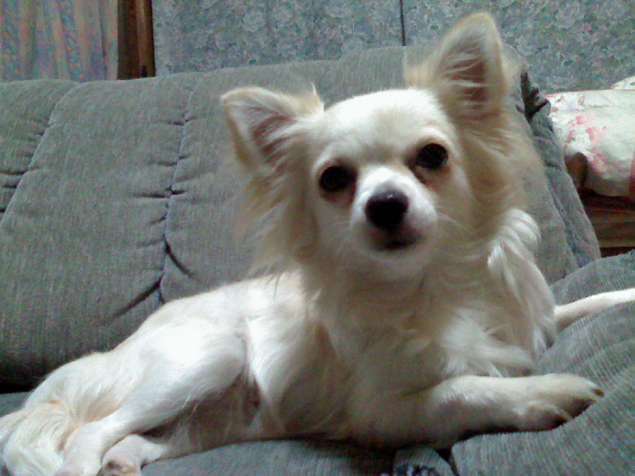 a0133999_052978.jpg