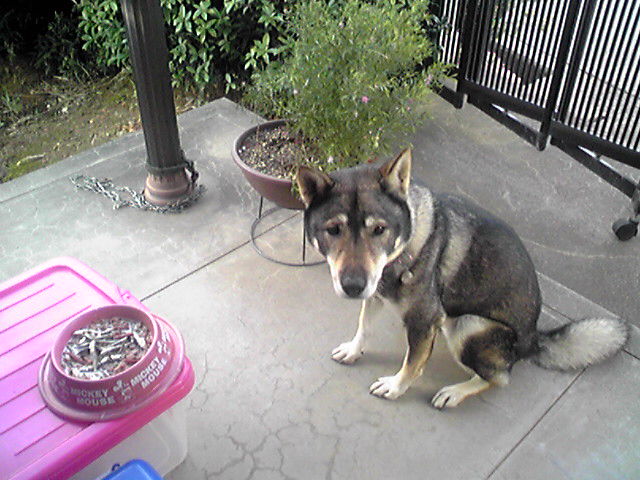 f0079202_16184997.jpg