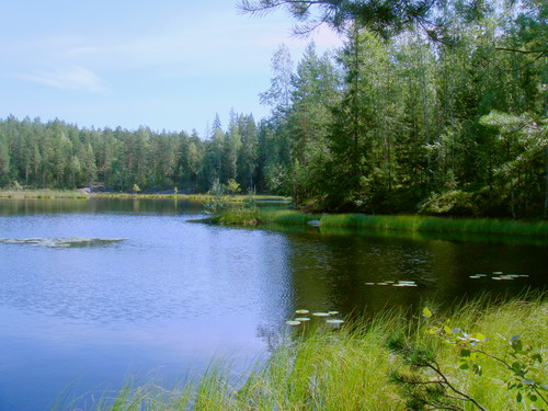 f0100505_0141430.jpg