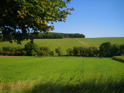 d0135907_338525.jpg
