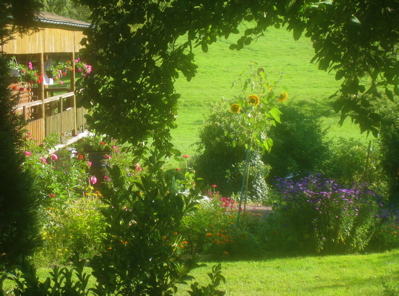 d0135907_4401564.jpg