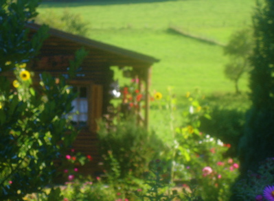 d0135907_4403210.jpg