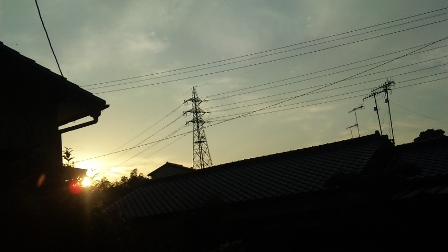 d0146708_903353.jpg