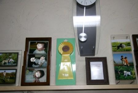 e0134711_23372747.jpg