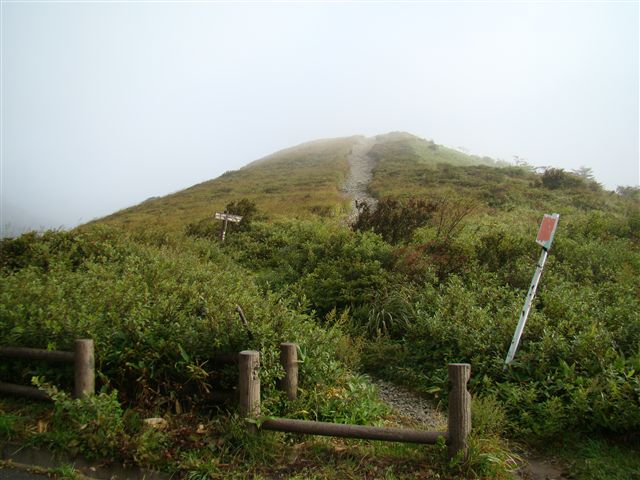 a0127015_20213437.jpg