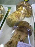 f0105015_14142493.jpg