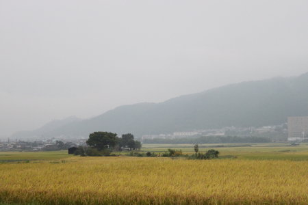 d0072318_17354258.jpg