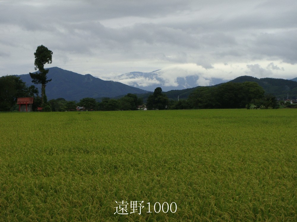 d0109319_6212781.jpg