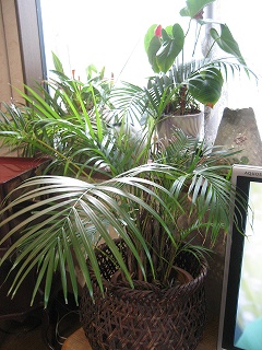 f0139520_21214535.jpg