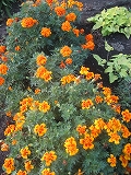f0139520_2234831.jpg