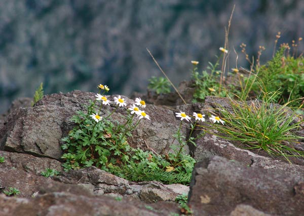 e0001123_21265146.jpg